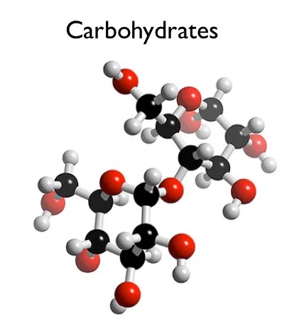 Carbohydrates