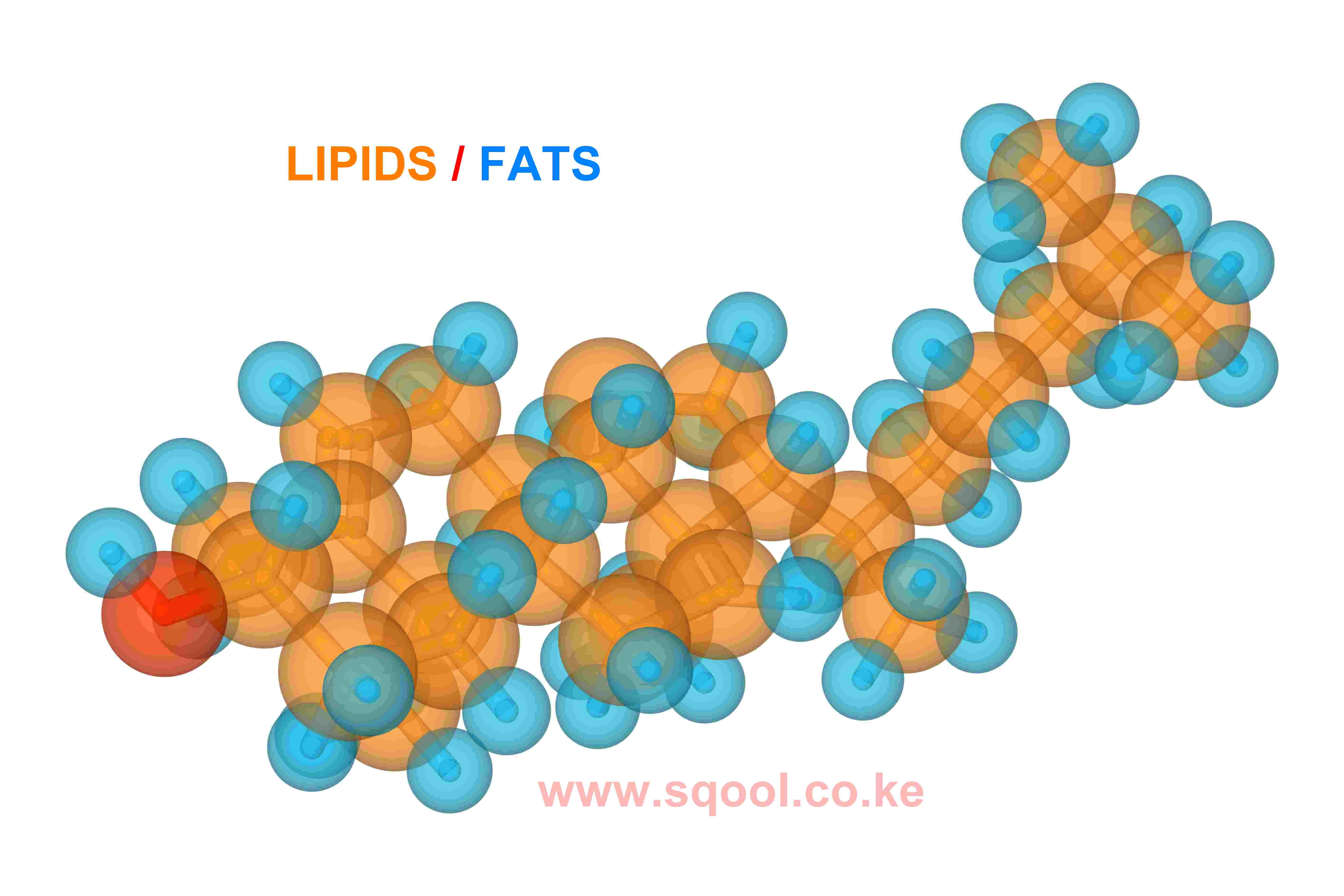 Lipids